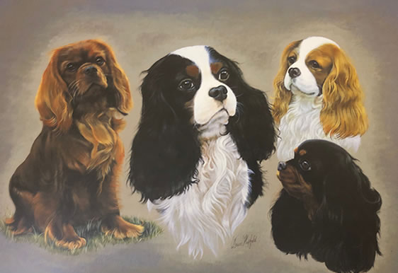 Group of Spaniels